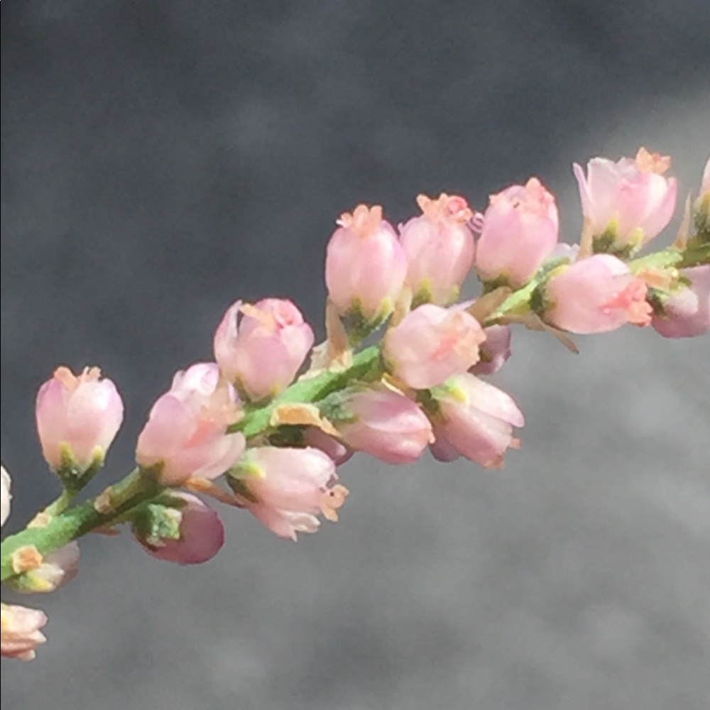 Meet your Posher, Karina